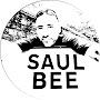 @saulbrignell7843