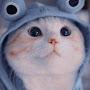 @phattai1207