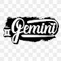 @geminidon550