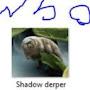@shadowderper8930