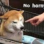 @kroefem
