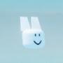 @forsaken_bunny