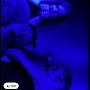 @SamuelParry-b6s
