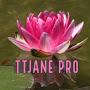 @TTJanePro
