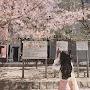 @its.ichigoblossom_