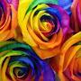 @ahmeddiamou3157