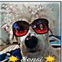 @SensiProductionzBlindDogVideos