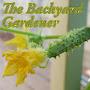 @TheBackyardVerticalGardener