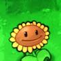 @SunFlowerPodsolnuh