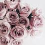 @saras4667