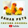 @Sahar-11-11