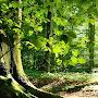 @sathish5883