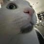 @Accountttttttttttrttttttttt