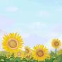 @0417sunflower