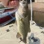 @TheSmithfishing