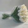 @bilginin_kralicesi7