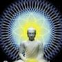 @narayanarao840