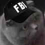 @policecat6920