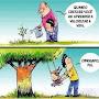 @minhasplantasediversos..1862