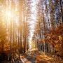@Ujjwalkumar345-g7e
