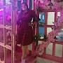 @shivijajoo
