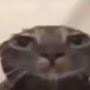 @joaouwu9998