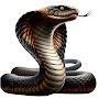 @wildsnakehunting