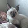 @fatimazahraabenallouche5546
