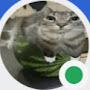 @catplayz5018