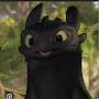 @toothless-the-dragon