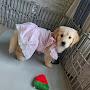 @행복이온달