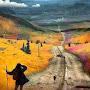 @shahab_bagheri