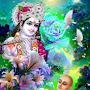 @jitendrakumarmeena4945