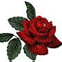 @lydiambaziira9138