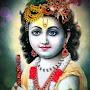 @vijaypratapyadav5316