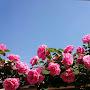 @sun-bl5eb
