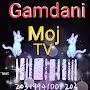 @gamdanimojtv2802