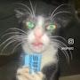 @0h0h0money