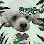 @덩치큰흑곰