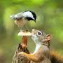 @azizurrehmanshahid8455