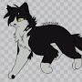 @WarriorCats_FIRESTAR