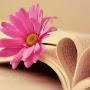 @areebaaltaf3901