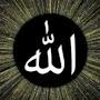 @mehandisk1222