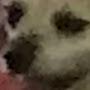 @gamerbeast5098
