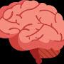 @BrainCheck07
