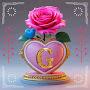 @GideyYohannes