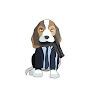 @Johnwicksdog00