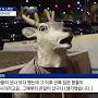 @구년-r2p