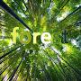 @FoReST34oo