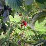 @goriteirosdelvalle5222
